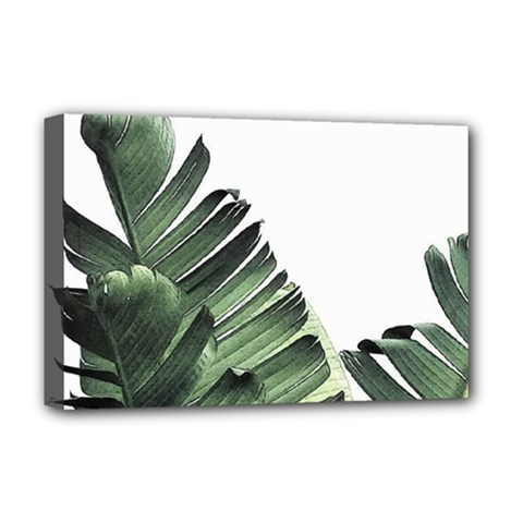Banana Leaves Deluxe Canvas 18  X 12  (stretched) by goljakoff