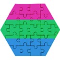 Polysexual Pride Flag LGBTQ Wooden Puzzle Hexagon View1
