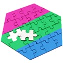Polysexual Pride Flag LGBTQ Wooden Puzzle Hexagon View3