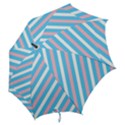Transgender Pride Diagonal Stripes Pattern Hook Handle Umbrellas (Large) View2
