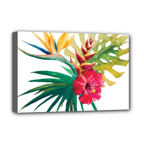 Tropical Flowers Deluxe Canvas 18  X 12  (stretched) by goljakoff