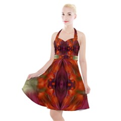 Landscape In A Colorful Structural Habitat Ornate Halter Party Swing Dress  by pepitasart