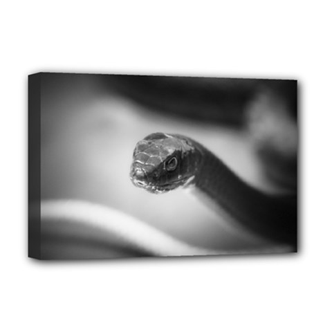 Black And White Snake Deluxe Canvas 18  X 12  (stretched) by ExtraGoodSauce