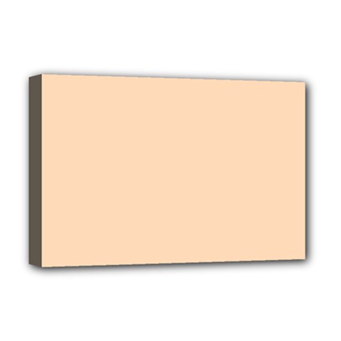 Color Peach Puff Deluxe Canvas 18  X 12  (stretched) by Kultjers