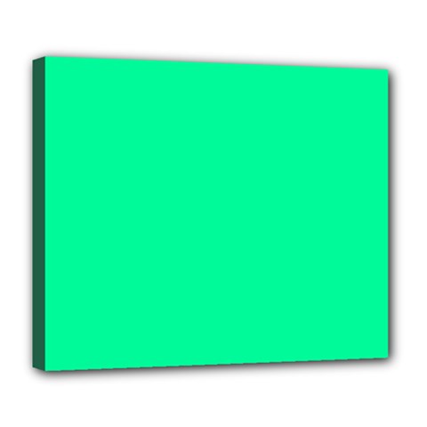 Color Medium Spring Green Deluxe Canvas 24  X 20  (stretched) by Kultjers