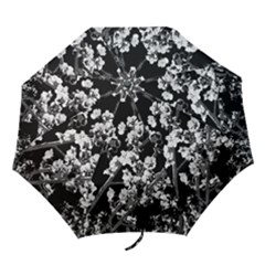 Fleurs De Cerisier Noir & Blanc Folding Umbrellas by kcreatif