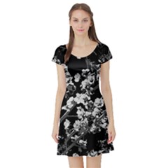 Fleurs De Cerisier Noir & Blanc Short Sleeve Skater Dress by kcreatif