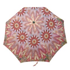 Pink Beauty 1 Folding Umbrellas by LW41021