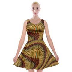 Golden Sands Velvet Skater Dress by LW41021