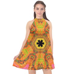 Sassafras Halter Neckline Chiffon Dress  by LW323