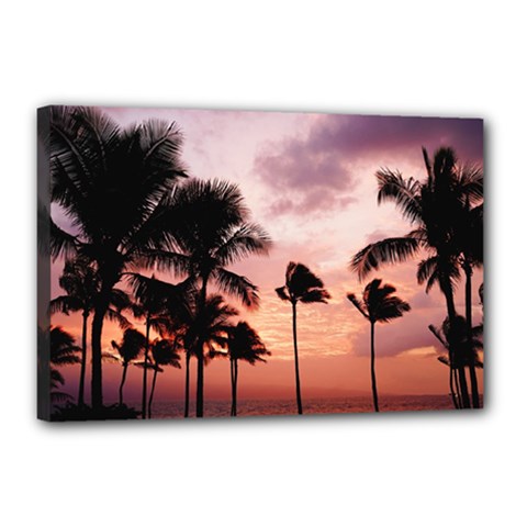 Palm Trees Canvas 18  X 12  (stretched) by LW323