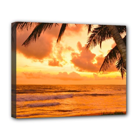 Sunset Beauty Deluxe Canvas 20  X 16  (stretched) by LW323