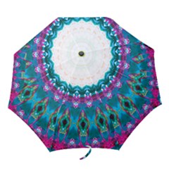 Peacock Folding Umbrellas by LW323