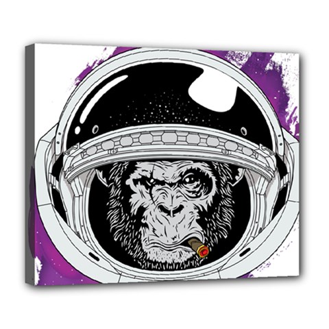 Spacemonkey Deluxe Canvas 24  X 20  (stretched) by goljakoff