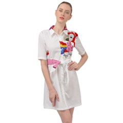 Untitled Design (5) Photo 1607517624237 Belted Shirt Dress by Basab896