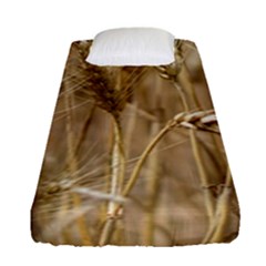 Wheat-field Fitted Sheet (single Size) by SomethingForEveryone
