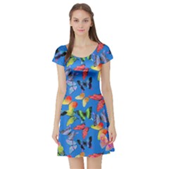 Bright Butterflies Circle In The Air Short Sleeve Skater Dress by SychEva