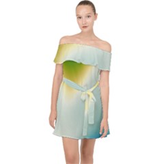 Gradientcolors Off Shoulder Chiffon Dress by Sparkle