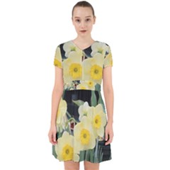 Daffodils In Bloom Adorable In Chiffon Dress by thedaffodilstore
