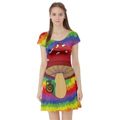 Wizard Snail Short Sleeve Skater Dress by steampunkbabygirl