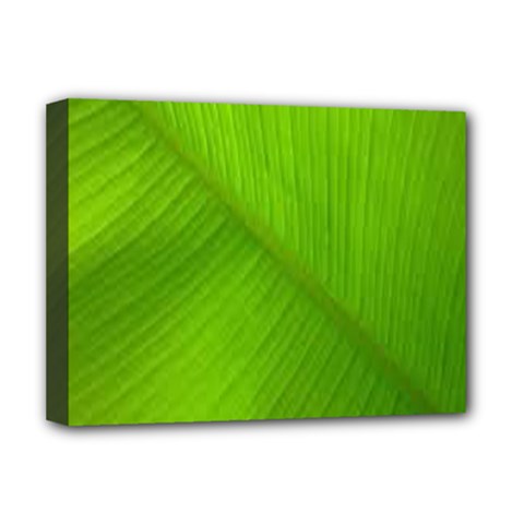 Banana Leaf Deluxe Canvas 16  X 12  (stretched)  by artworkshop