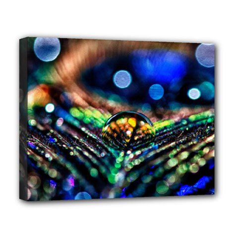 Peacock Feather Drop Deluxe Canvas 20  X 16  (stretched) by artworkshop