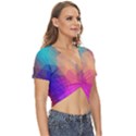 Triangles Polygon Color Twist Front Crop Top View3