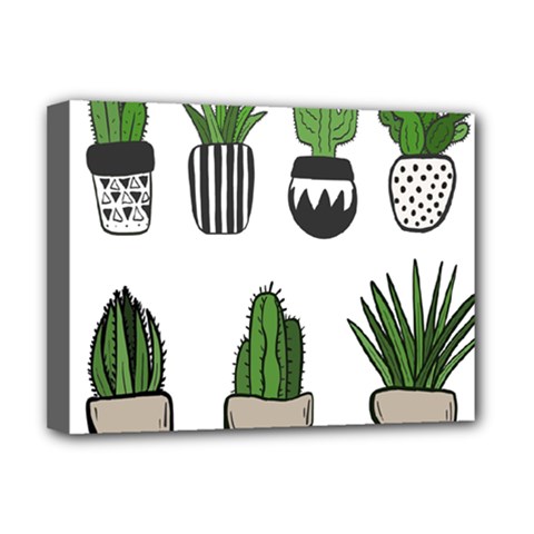 Succulents Deluxe Canvas 16  X 12  (stretched)  by nate14shop