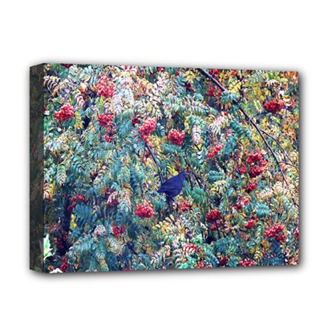 Rowan Deluxe Canvas 16  X 12  (stretched)  by nate14shop