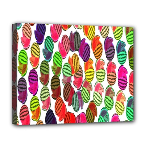 Watermelon Deluxe Canvas 20  X 16  (stretched) by nateshop