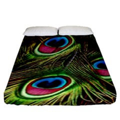 Peacock-feathers-color-plumage Fitted Sheet (queen Size) by Celenk