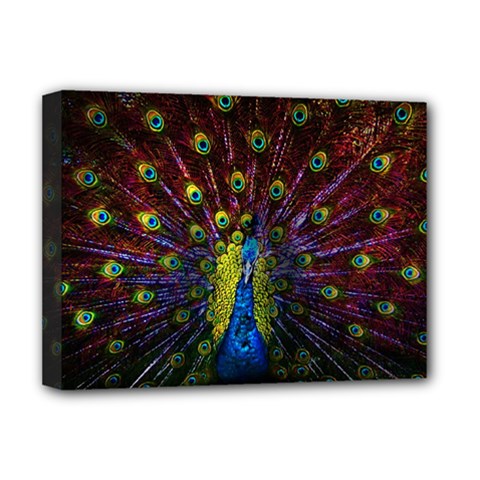 Beautiful Peacock Feather Deluxe Canvas 16  X 12  (stretched)  by Jancukart