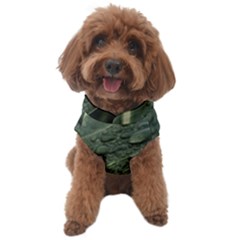 Leaves Water Drops Green  Dog Sweater by artworkshop