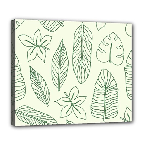 Banana Leaves Draw   Deluxe Canvas 24  X 20  (stretched) by ConteMonfreyShop