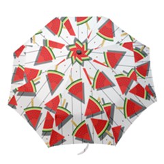 Watermelon Popsicle   Folding Umbrellas by ConteMonfrey
