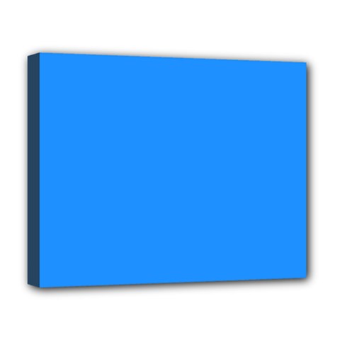 Color Dodger Blue Deluxe Canvas 20  X 16  (stretched) by Kultjers
