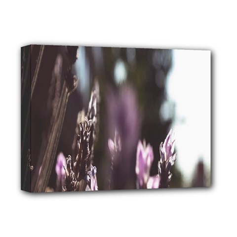 Purple Flower Pattern Deluxe Canvas 16  X 12  (stretched)  by artworkshop