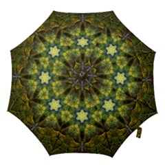Fractal-fantasy-design-background- Hook Handle Umbrellas (medium) by Vaneshart