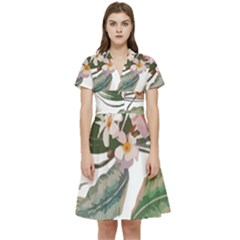 Tropical T- Shirt Tropical Pattern Quiniflore T- Shirt Short Sleeve Waist Detail Dress by maxcute