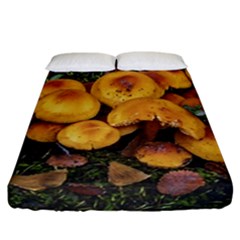 Orange Mushrooms In Patagonia Forest, Ushuaia, Argentina Fitted Sheet (california King Size) by dflcprintsclothing