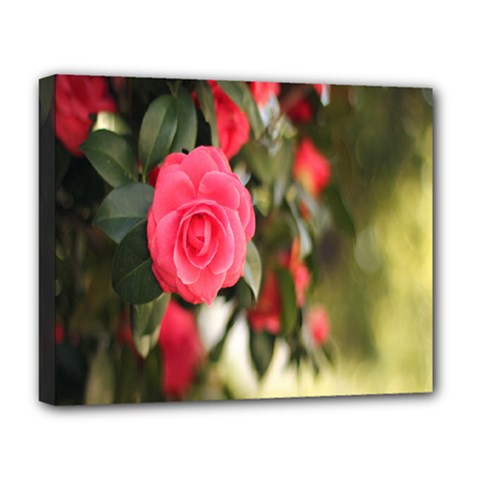 Flower Deluxe Canvas 20  X 16  (stretched) by artworkshop