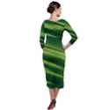 Green-01 Quarter Sleeve Midi Velour Bodycon Dress View2