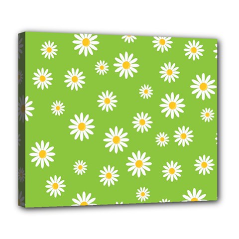 Daisy-flowers-floral-wallpaper Deluxe Canvas 24  X 20  (stretched) by Semog4