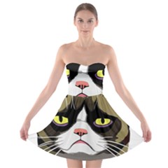 Grumpy Cat Strapless Bra Top Dress by Mog4mog4