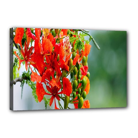 Gathering Sping Flowers Wallpapers Canvas 18  X 12  (stretched) by artworkshop