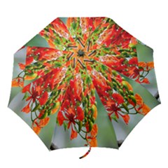 Gathering Sping Flowers Wallpapers Folding Umbrellas by artworkshop