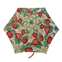 Strawberry Fruit Mini Folding Umbrellas by Amaryn4rt