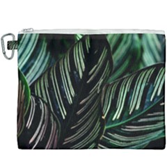 Calathea Leaves Strippe Line Canvas Cosmetic Bag (xxxl) by Ravend