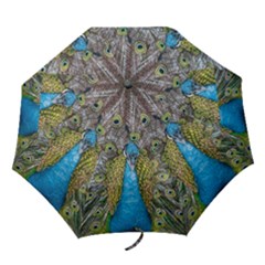 Peacock-feathers2 Folding Umbrellas by nateshop
