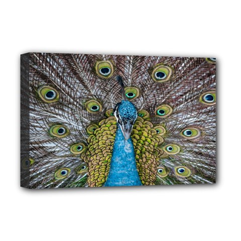 Peacock-feathers2 Deluxe Canvas 18  X 12  (stretched) by nateshop
